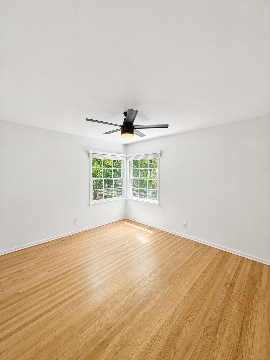 1 bedroom apartment, pet friendly in 13519 Moorpark St, Unit 1 Los Angeles, CA 91423 — photo 2