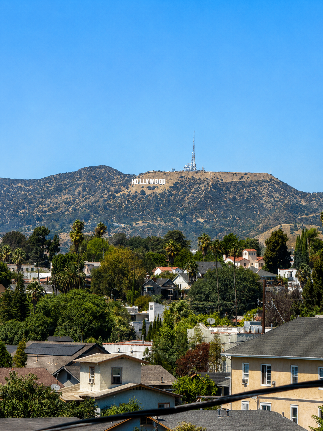 2 bedroom apartment, pet friendly in 2711 Bellevue Ave, Unit 5 Los Angeles, CA 90026 — photo 15