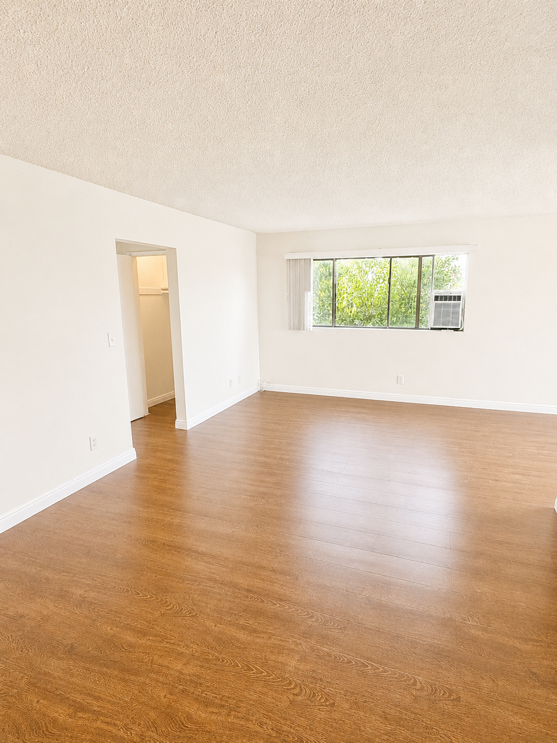 2 bedroom apartment with balcony, pet friendly in 1217 S Ogden Dr, Unit 8 Los Angeles, CA 90019 — photo 11